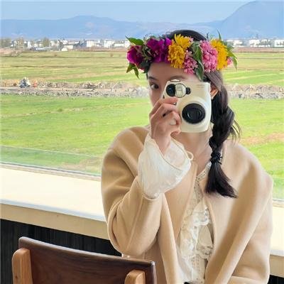 完美独裁