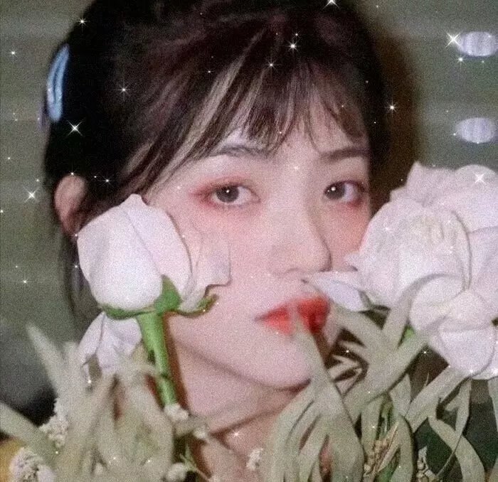 沙漠之王